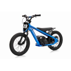 Review BAIGOR 23 PRO Bicicletă Electrică Albastră