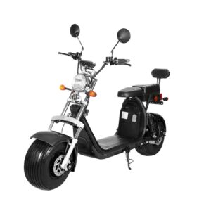 Review Trotty HOINAR - Scuter Electric 2 Locuri