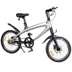 Review Smart Balance SB30 PLUS Urban Ride - Bicicletă Electrică cu Motor 230W