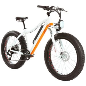 Review Bicicleta Electrica Tucano Alb 26 inch Motor 500W Baterie 48V