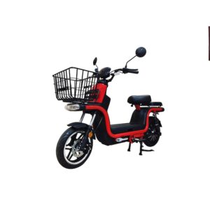Review Trotty Curier Scooter Electric 1200W