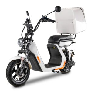 Review Scooter Electric BILI BIKE E-BALDUR DELIVERY 2.0