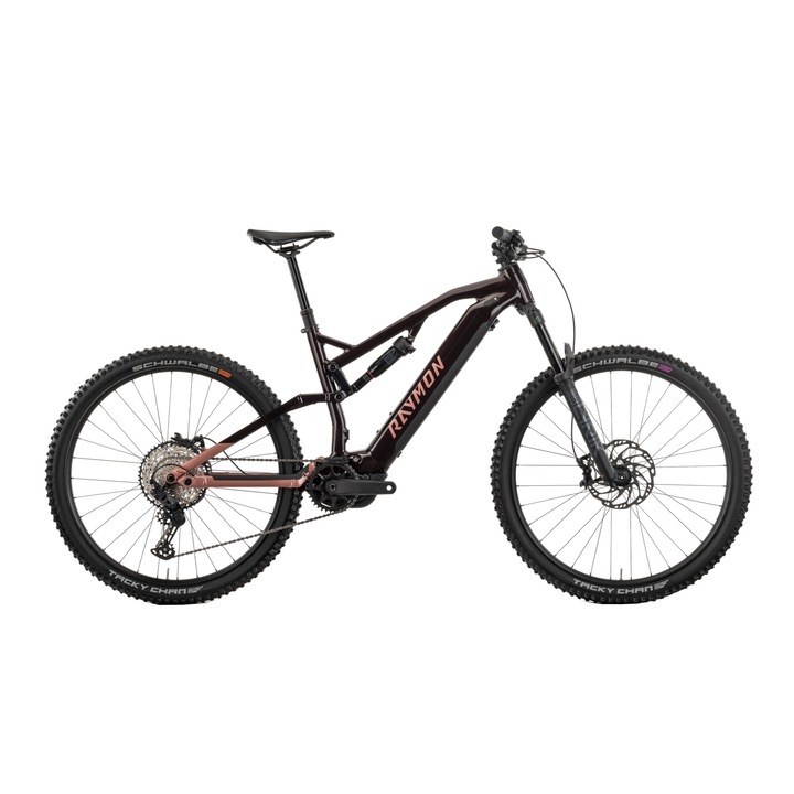 Review Raymon Full Suspension Trailray 150 Pro - Bicicletă Electrică