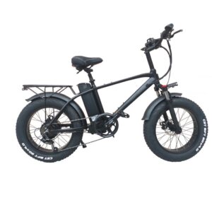 Review: Bicicleta Electrica 20 inch 750W