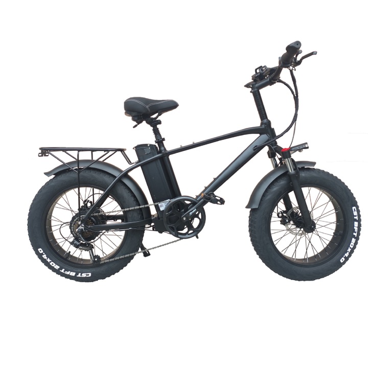 Review: Bicicleta Electrica 20 inch 750W